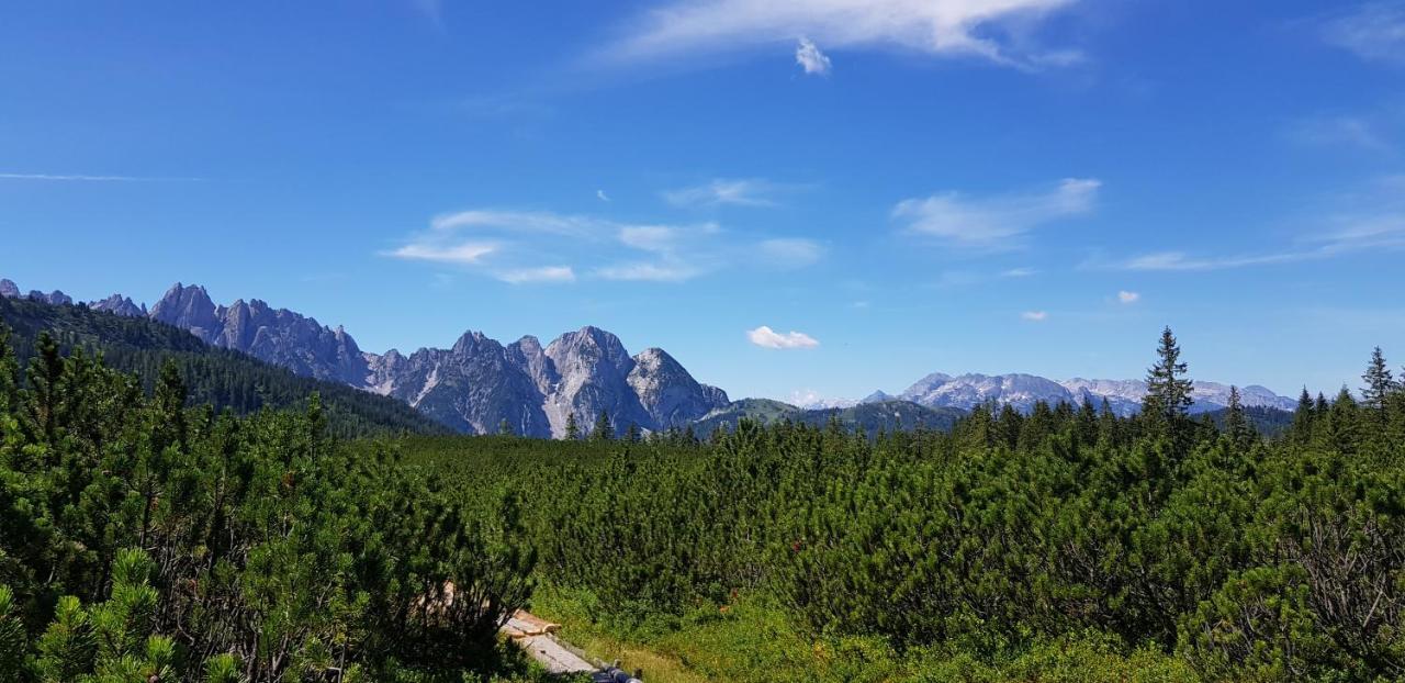 Kalvarienberg Appartement Gosau Kültér fotó