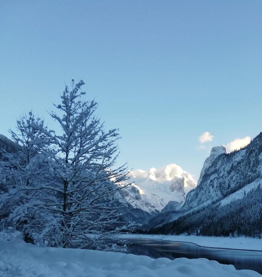 Kalvarienberg Appartement Gosau Kültér fotó