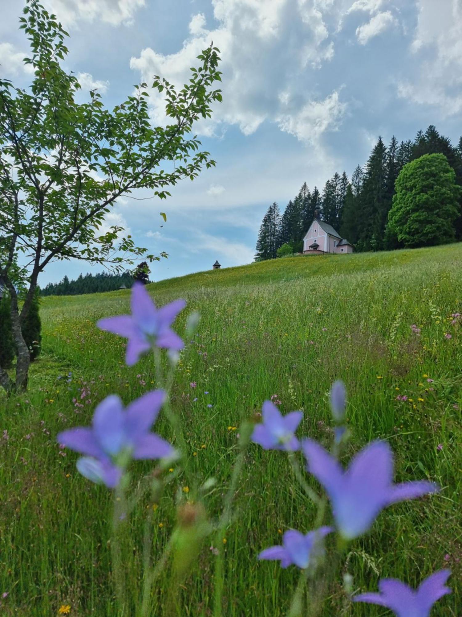 Kalvarienberg Appartement Gosau Kültér fotó